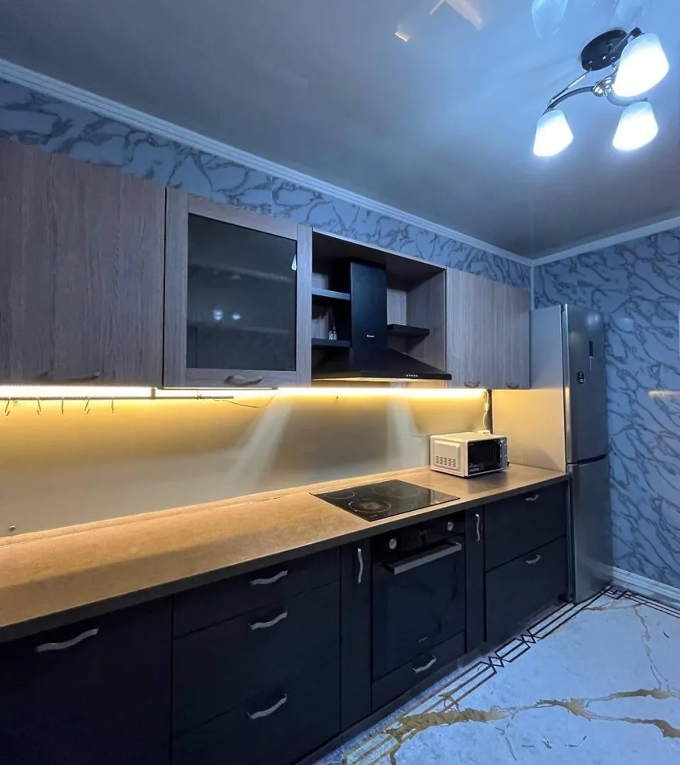 Aigerim 67 Apartment Almaty Kazakhstan